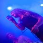 20130720_IMG_8556